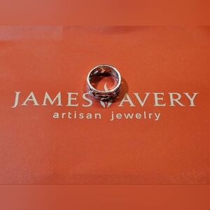 Retired James Avery Sterling Ichthus Band